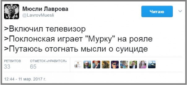 Месть котиков, или Политическое самоубийство