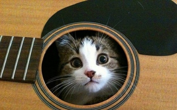 "Мурка", тихо прозвучавшая в России, громом разнеслась над Украиной