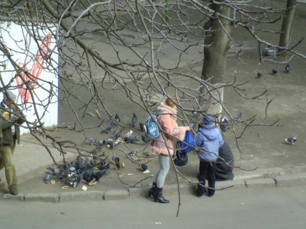 «Жизнь по-новому»: голодная одесситка отбирала хлеб у голубей