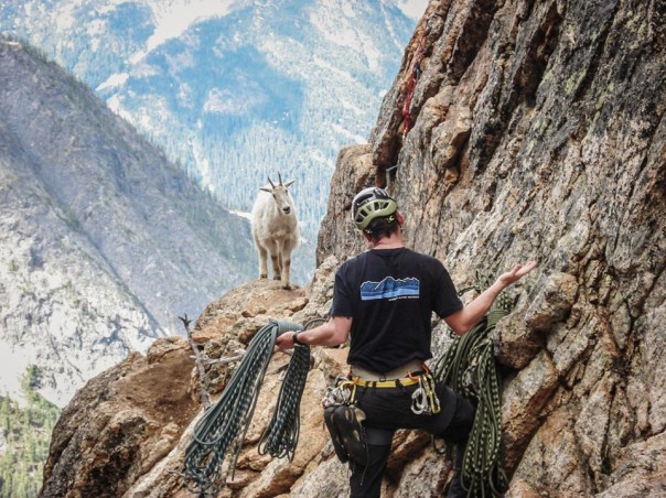 Встретился как-то раз хохол с турком на узенькой тропинке. Ева Лисовская