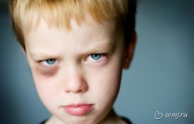 Медведев улетел, но обещал вернуться? Медведев улетел, но обещал вернуться?