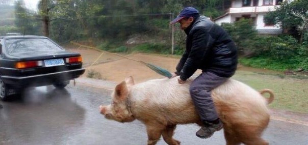 Политический перформанс Политический перформанс