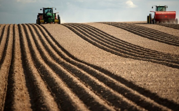 Депутат Рийгикогу оценил масштабы бедствия в аграрном секторе Эстонии: транзит усох — надо