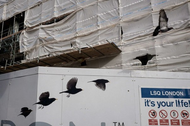 55 ошеломляющих фотографий, сделанных в нужный момент 55 ошеломляющих фотографий, сделанных в нужный момент
