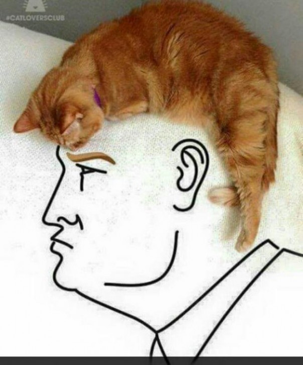 Sledge Hammer!: "Весёлые картинки" № 32