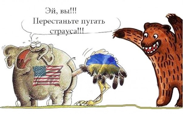 В чем наша сила