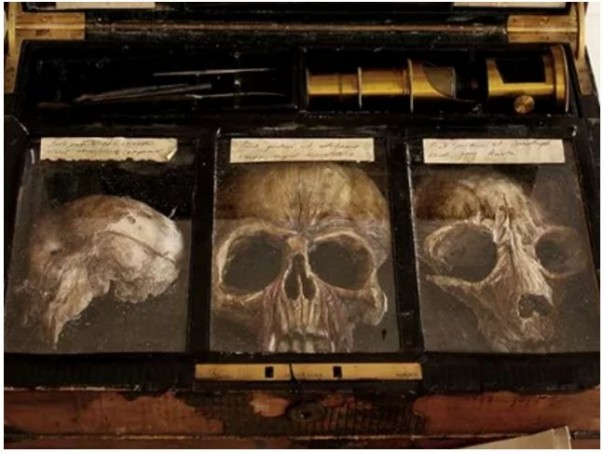 В подвале жилого дома в Лондоне найдены тела неизвестных науке существ В подвале жилого дома в Лондоне найдены тела неизвестных науке существ