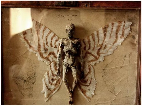 В подвале жилого дома в Лондоне найдены тела неизвестных науке существ В подвале жилого дома в Лондоне найдены тела неизвестных науке существ