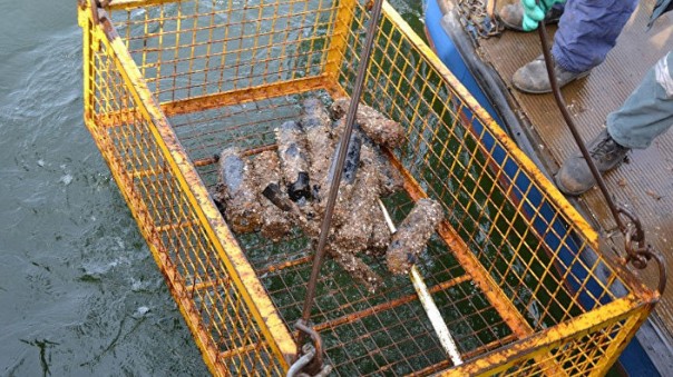 Страшная тайна Балтики: химическое оружие на дне моря Страшная тайна Балтики: химическое оружие на дне моря