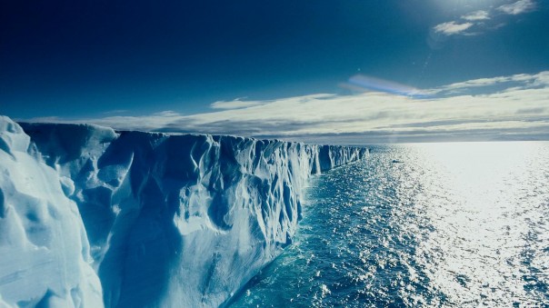 Арктическое направление. Специальный репортаж Ирины Матюшенко