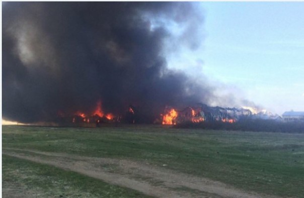 Настоящие украинские пожарные - тушат только способом самовыгорания! Настоящие украинские пожарные - тушат только способом самовыгорания!