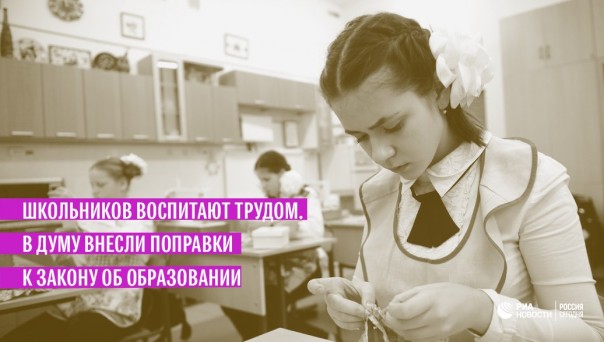 Школьников воспитают трудом. В Думу внесли поправки к закону об образовании