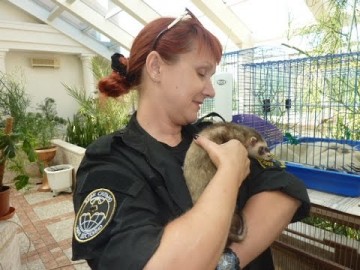 ДНР. Зоопарк полка спецназа