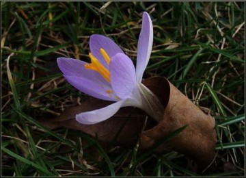 Всех с весной!