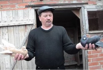 Вестник мира в Спартаке