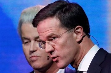 Большая проба в Голландии