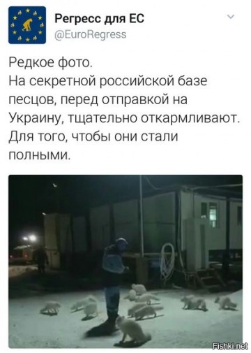 "Мыздобулы" в картинках. Смешных и не очень... 24-03-2017