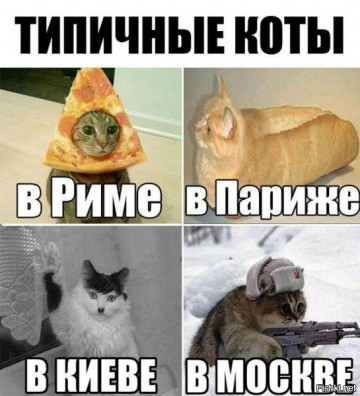 "Мыздобулы" в картинках. Смешных и не очень... 24-03-2017