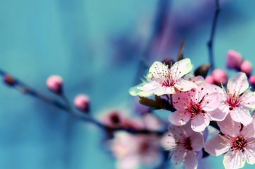 Хороших новостей столько, что нужно съесть лимон. Александр Роджерс