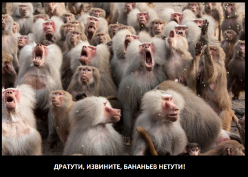 В Екатеринбурге штаб Навального не намерен оплачивать штрафы участников митинга