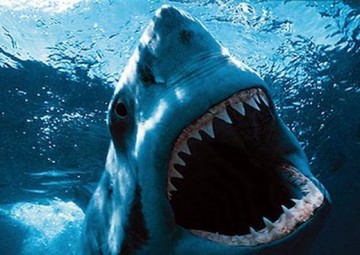 Синдром акульей задницы для Меркель