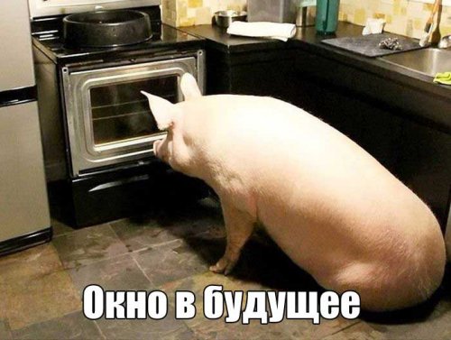 Анекдоты о Руине