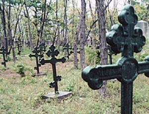 В Киеве уже не хватает кладбищ: Кличко попросил Гройсмана отдать часть леса под новые захоронения