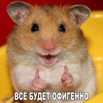 Пятница - Хохмы с Сети.