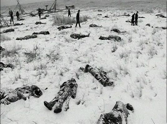 Я сделала для себя открытие, перевернувшее мое представление о мире