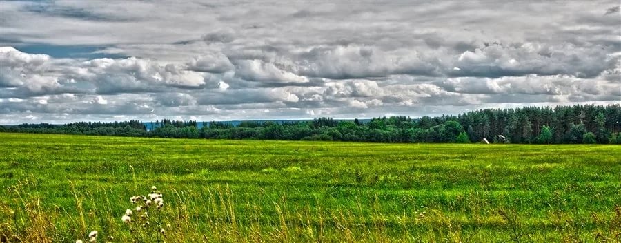 Я сделала для себя открытие, перевернувшее мое представление о мире