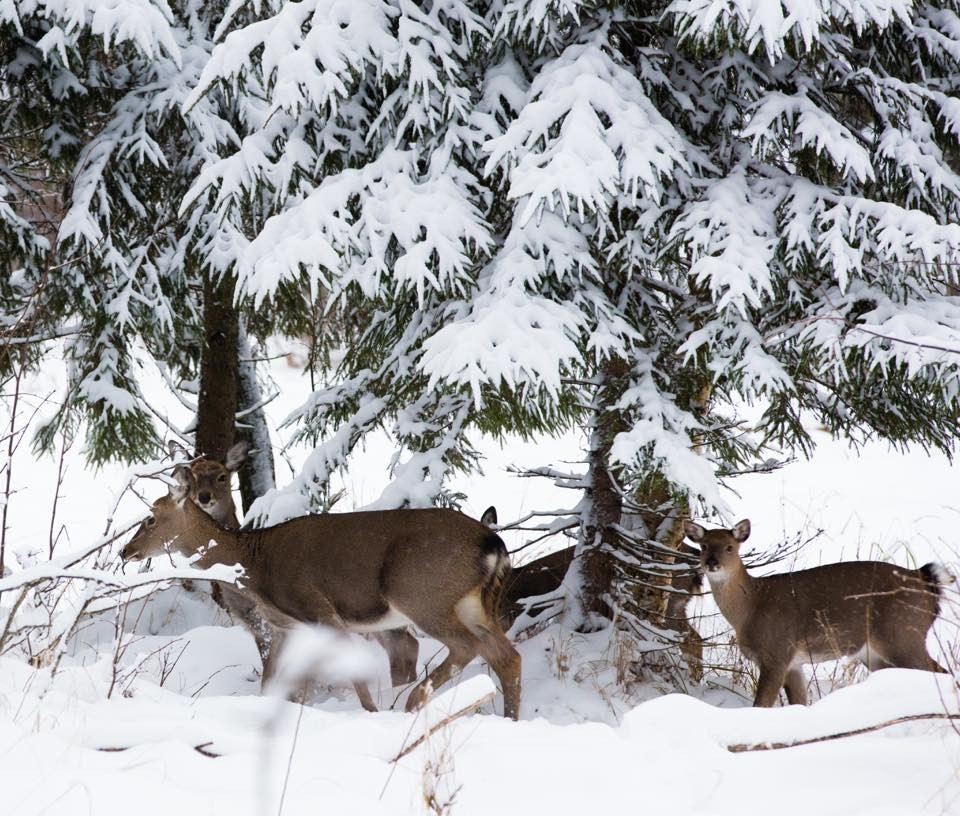 Красивый снимок Красивый снимок