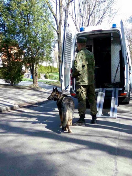 Хрюмберг дёрнул за кольцо...