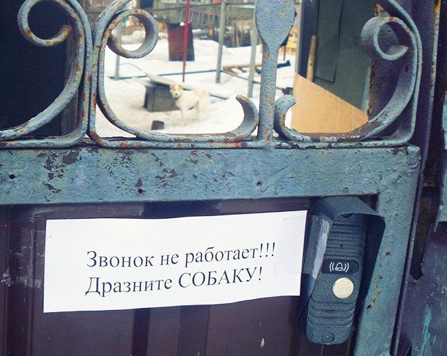 20 жизненных объявлений 20 жизненных объявлений