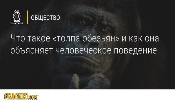 Разбор полетов в ООН, что было на самом деле... Разбор полетов в ООН, что было на самом деле...