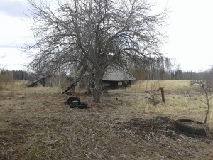 Прибалты! К встрече "зелёных человечков" будьте готовы! (Всегда готовы!!!....)