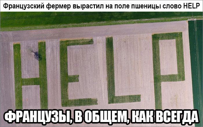 Мыздобулы. Картинки смешные и не очень. 15.04.2017 Мыздобулы. Картинки смешные и не очень. 15.04.2017