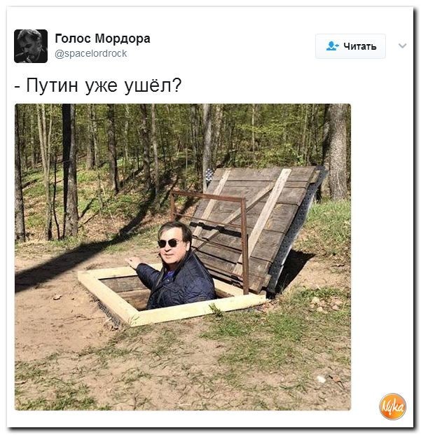 Партия Саакашвили обьединилась с националистами из Галичины