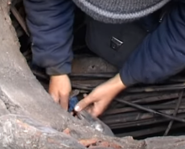 Наверное агенты ГРУ ГШ ФСБ КГБ: В Днепропетровске СБУ задержала воров, укравших кабель правительственной спецсвязи