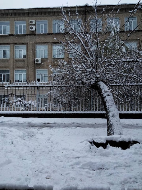 В Днепре – самая масштабная непогода за 115 лет