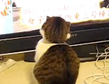 "Оскар" в студию!