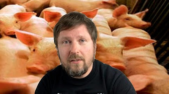 Свобода слова и свиньи 18+