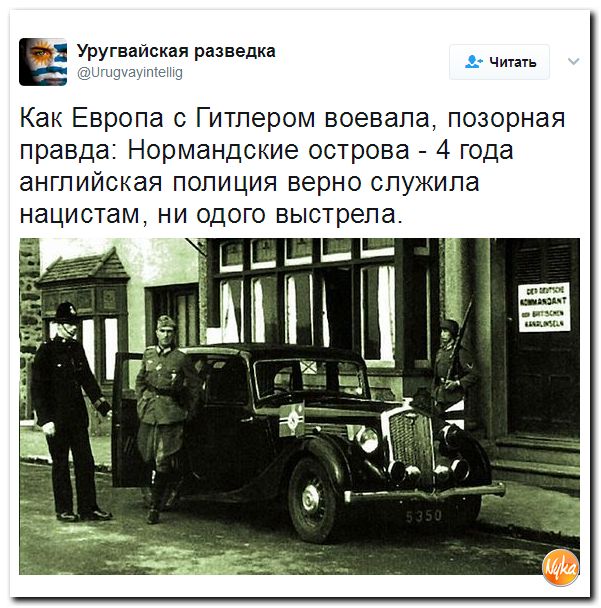 "Мыздобулы" в картинках. Смешных и не очень... 25-04-2017