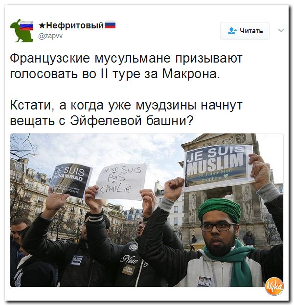 "Мыздобулы" в картинках. Смешных и не очень... 25-04-2017