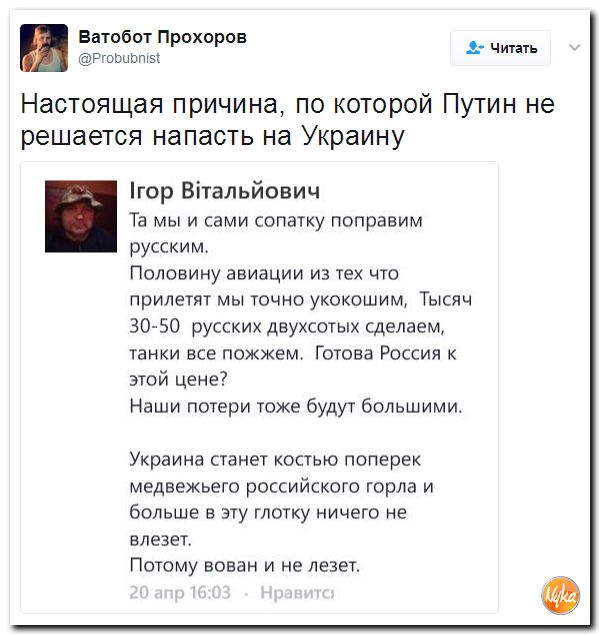"Мыздобулы" в картинках. Смешных и не очень... 25-04-2017