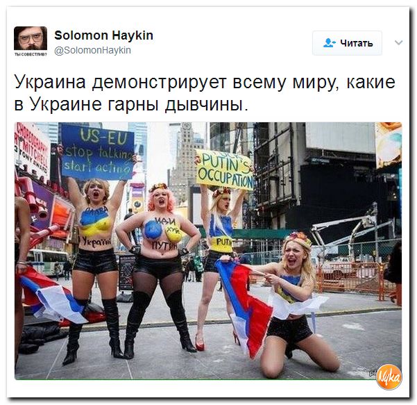 "Мыздобулы" в картинках. Смешных и не очень... 25-04-2017