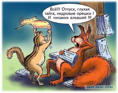 "Мыздобулы" в картинках. Смешных и не очень... 25-04-2017