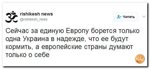 "Мыздобулы" в картинках. Смешных и не очень... 25-04-2017