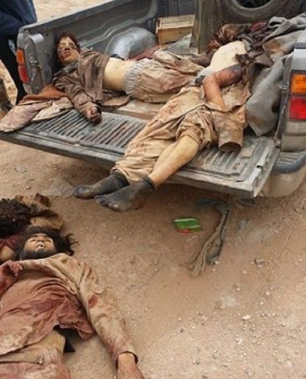 В сеть попали фото последствий бойни САА и ИГИЛ под Алеппо В сеть попали фото последствий бойни САА и ИГИЛ под Алеппо