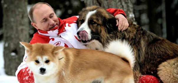 О Путине и его Доме – ужасная статья О Путине и его Доме – ужасная статья