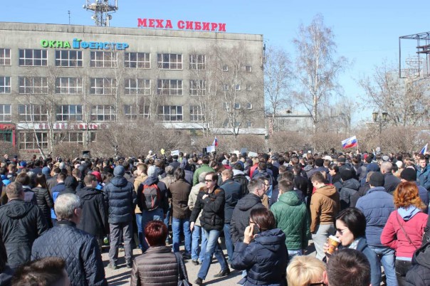 Покед, Медвед! Покед, Медвед!
